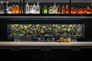 Different bottles of wine and alcohol are neatly arranged on the shelves.