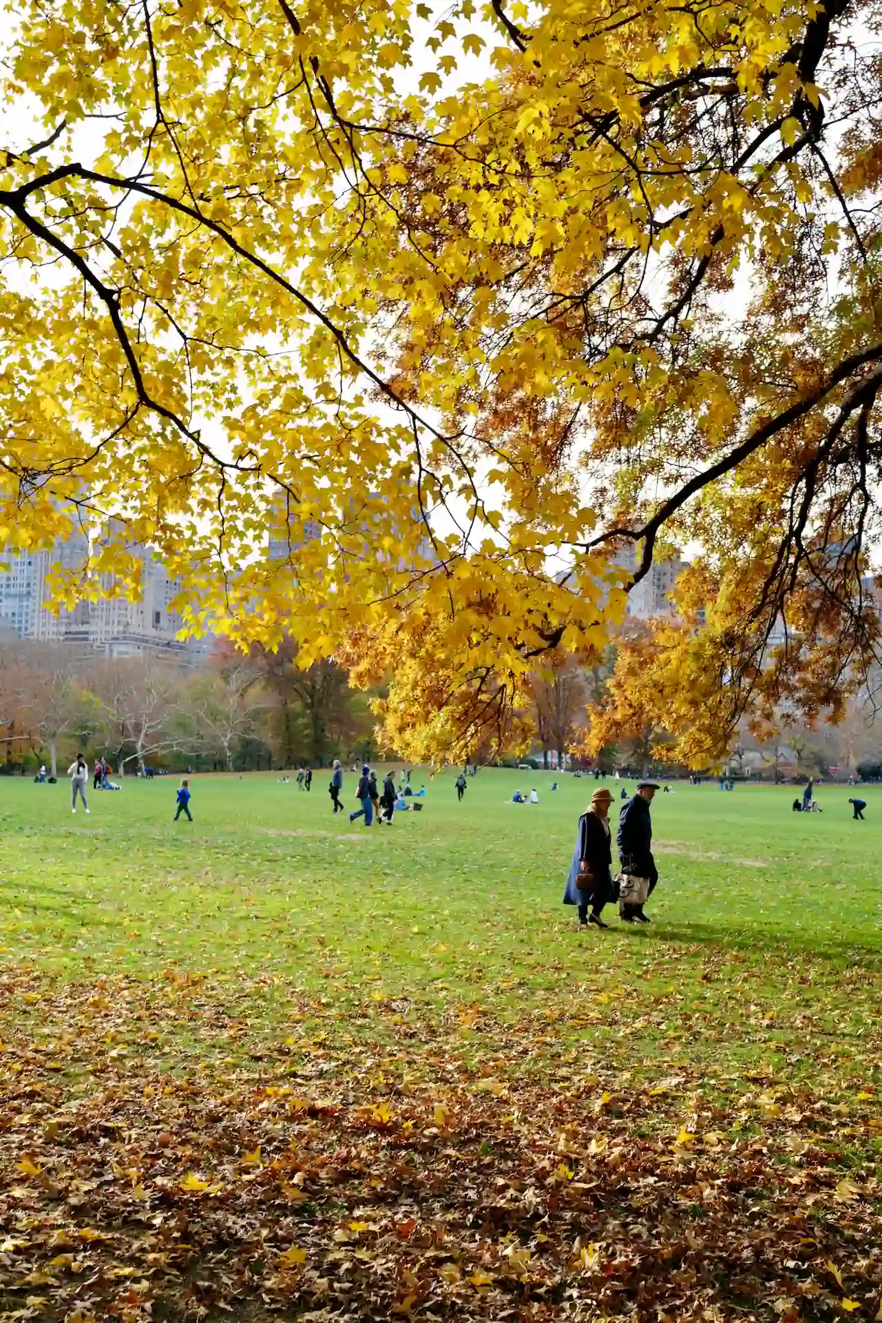 Autumn park scene with large tree of golden leaves, fallen foliage on grass, people walking and relaxing.