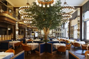 fifa_Full View_CafeCarmellini_William Abranowicz